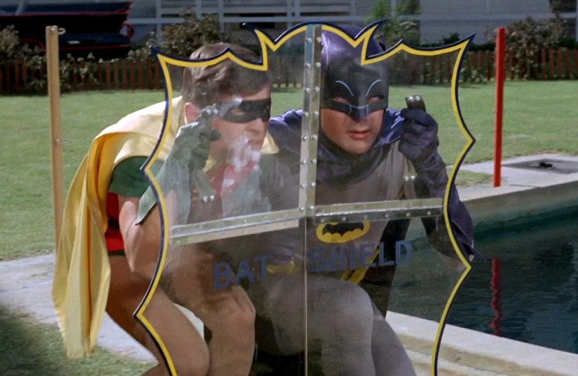 bat shield