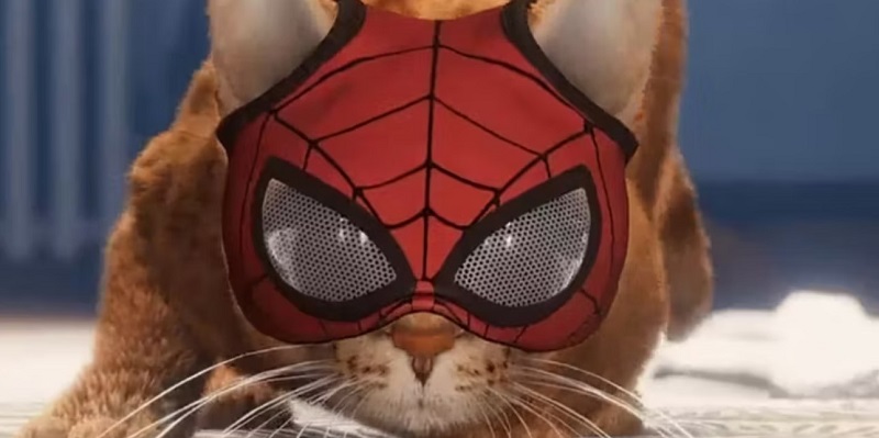 گربه عنکبوتی